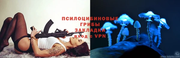 бошки Калининец