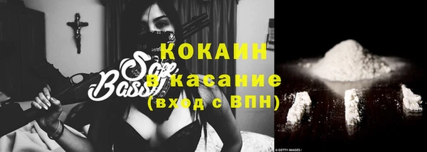 PSILOCYBIN Фёдоровский