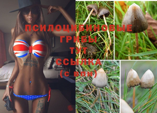 наркотики Кинешма